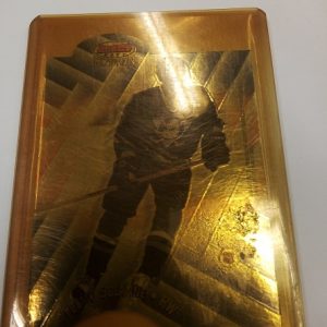 Selänne, Teemu/Lindquist, Fred - NHL 1999