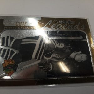 Hull, Bobby - NHL 2008-09