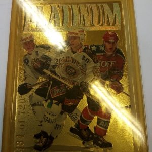Lehtinen/Koivu/Peltonen - NHL 1992