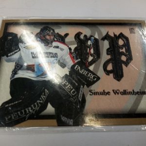 Wallinheimo, Sinube - SM Liiga 2006-07