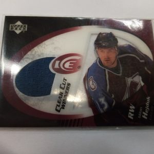 Hejduk, Milan - NHL 2004