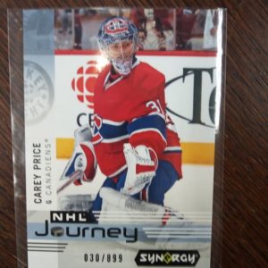 NHL 2019-20 Journey, CAREY PRICE, G, CANADIENS