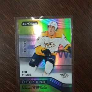 NHL 2019-20 SYNERGY  REM PITLICK