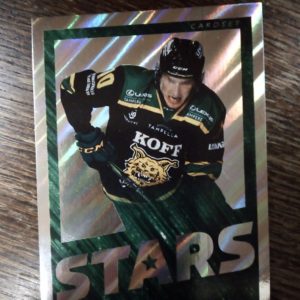 SM- Liiga 2019-2020, ILVES nro 10, EEMELI SUOMI