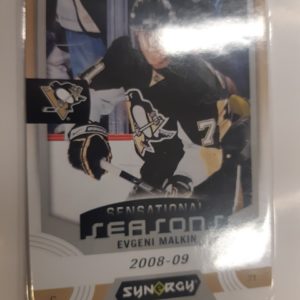 2019-20 UD Synergy Sensational Seasons Evgeny Malkin