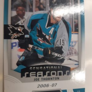 2019-20 UD Synergy Sensational Seasons Joe Thornton