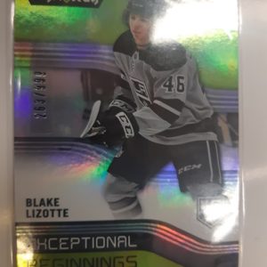 2019-20 UD Synergy Exceptional Beginnings Blake Lizotte /999