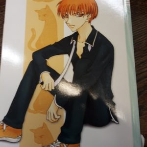 Fruits Basket Vol.3
