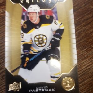 NHL 2019-20 UD TRILO3Y ROOKIE DAVID PASTRNAK,