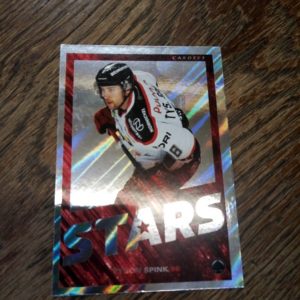 SM- Liiga 2019-2020, ÄSSÄT nro 96 , Tyson Spink