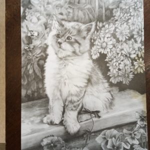 Taulu Lyijykynä piiros kissa