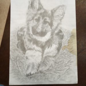 Taulu' Lyijykynä piiros koira