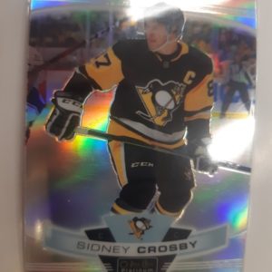2019-20 OPC Platinum Sidney Crosby