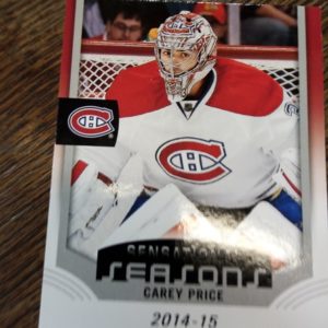 2019-20 UD Synergy Sensational  Carey Price