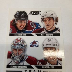 Team leaders score 2013-2014 P.a. Parenteay, Matt Dunce, Semyor, Cody McLeod