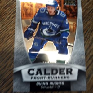 2019-20 OPC Platinum Quinn Hugnes Calder