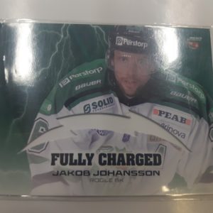 2013-14 Allsvenskan Fully Charged Jakob Johansson die-cut