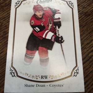 2015-2016 champs hockey Shane Doan