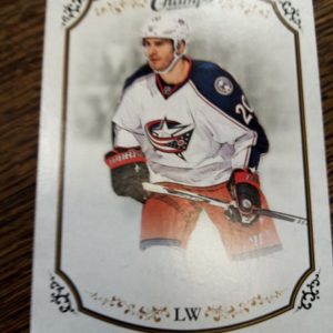 2015-2016 champs hockey Brandon Saad