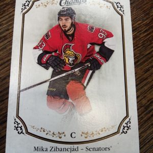 2015-2016 champs hockey Mika Zibanejåd