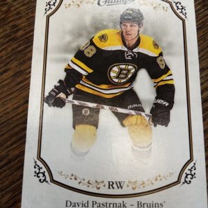 2015-2016 champs hockey David Pastrnak