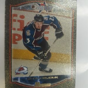 2002-03 Bowman Young Stars Milan Hejduk /250