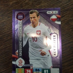 2018 Key player Grzegorz Krychowiak