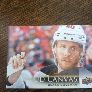 2018-19 UD canvas Blake Coleman