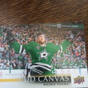 2018-19 UD canvas Radel Faksa