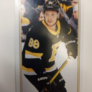 2020-2021 O-Pee-Chee Premier David Pastrnak