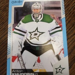 2020-2021 O-Pee-Chee Anton Khudobin