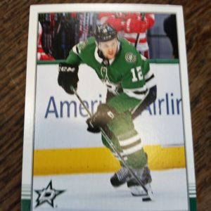 2020-2021 O-Pee-Chee Radek Faksa
