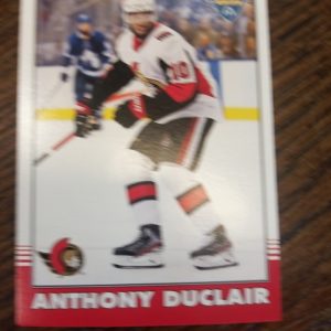 2020-2021 O-Pee-Chee Anthony Duclair
