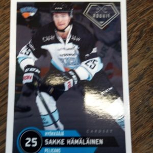 2020-2021 sm liiga Sakke Hämäläinen