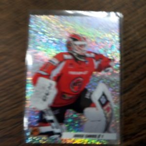 2020-2021 sm liiga Juuse Saros diamonds of ice