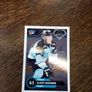 2020-21 Sm-liiga Aleksi Haatanen rookie