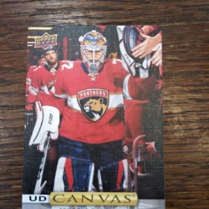 2019-20 UD canvas Sergei Bobrovsky