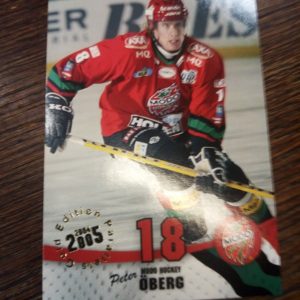 2004-05 Peter Öberg