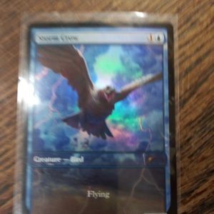 Storm Crow - Secret Lair Drop Series