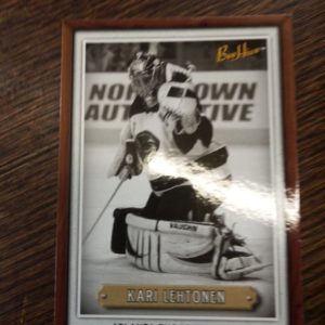 2007-08 bee hive Kari Lehtonen