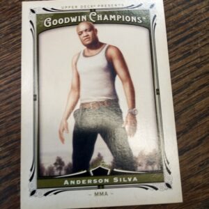 2013 goodwin champions Anderson Silva