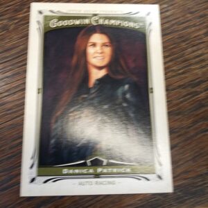 2013 goodwin champions Danica Patrick