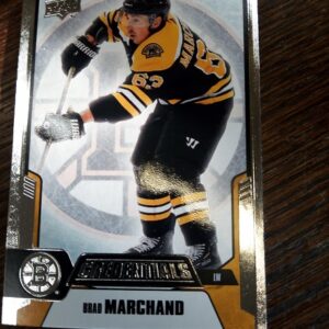 2019-2020 credentials Brad Machand