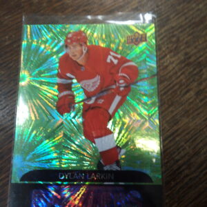 2020-21 UD series 1 Dylan Larkin pink dazzlers