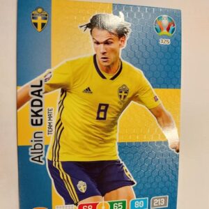 UEFA Euro 2020 Team Mate Albin Ekdal