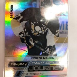 2020-21 Synergy Stanley Cup Evgeni Malkin /899