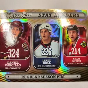 2008-09 O-pee-chee Stat Leaders Daniel Carcillo / Jared Boll / Adam Burish