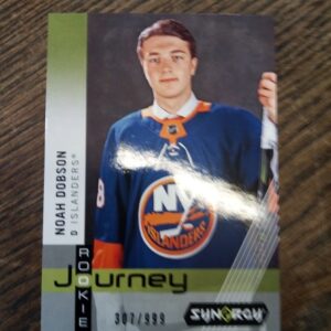 2019-2020 Upper Deck Synergy rookie journey Noah Dobson