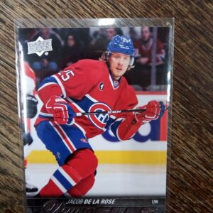 2015-16 UD Series One Hockey Jacob De La Rose (Young Guns)