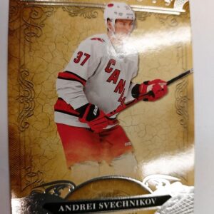 2020-21 Artifacts Andrei Svechnikov